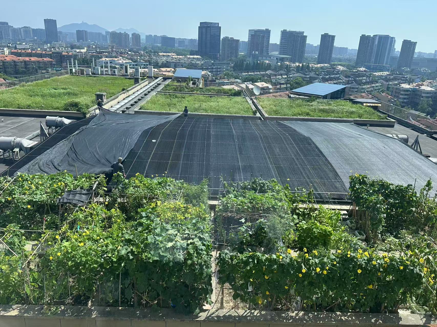 水晶城巧施”遮陽術(shù)“，為節(jié)能降耗注入清涼動(dòng)力