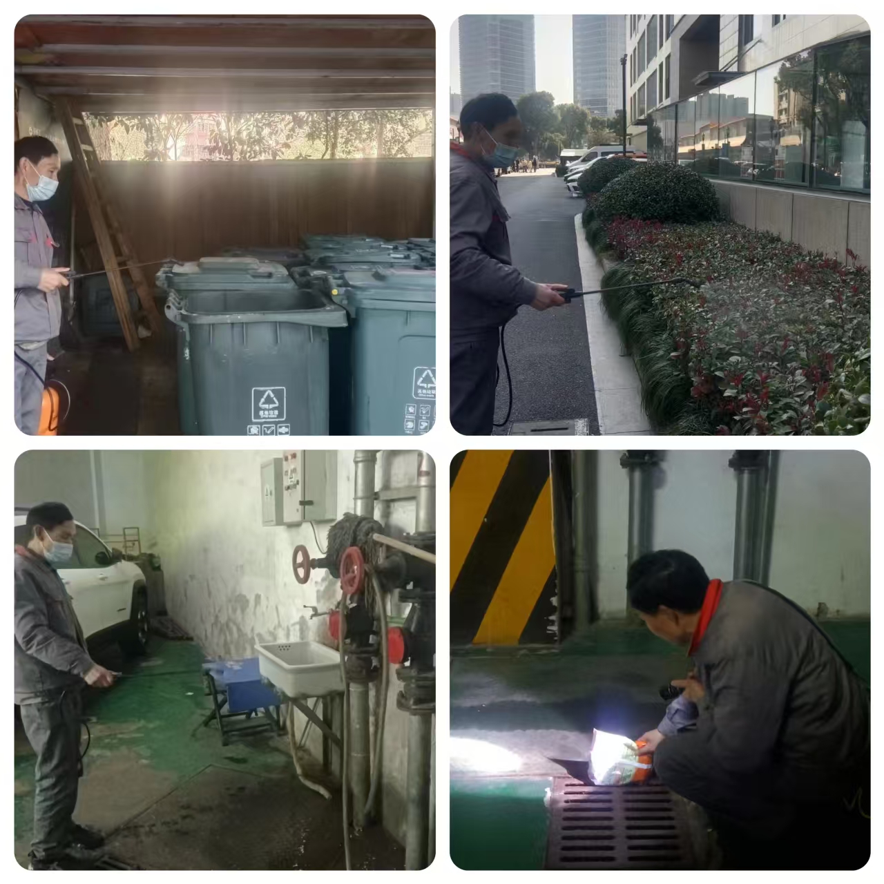 水晶城開展春節后除四害消殺工作