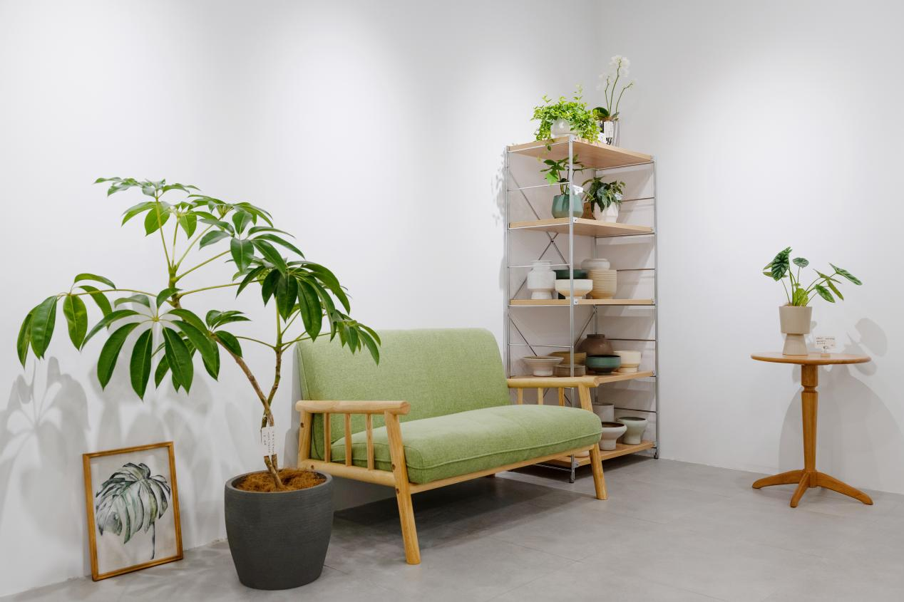 圖片2.png 圖片2.png