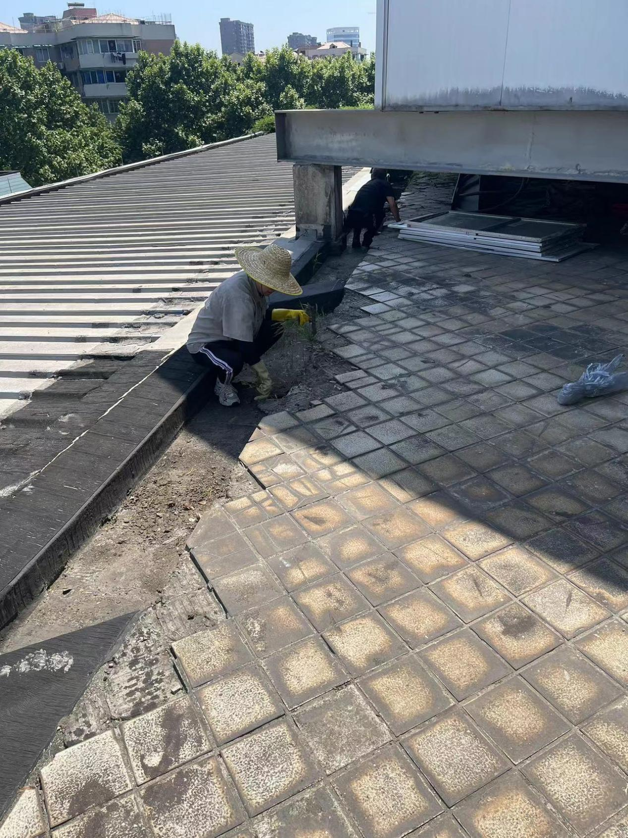 圖片2.png 圖片2.png